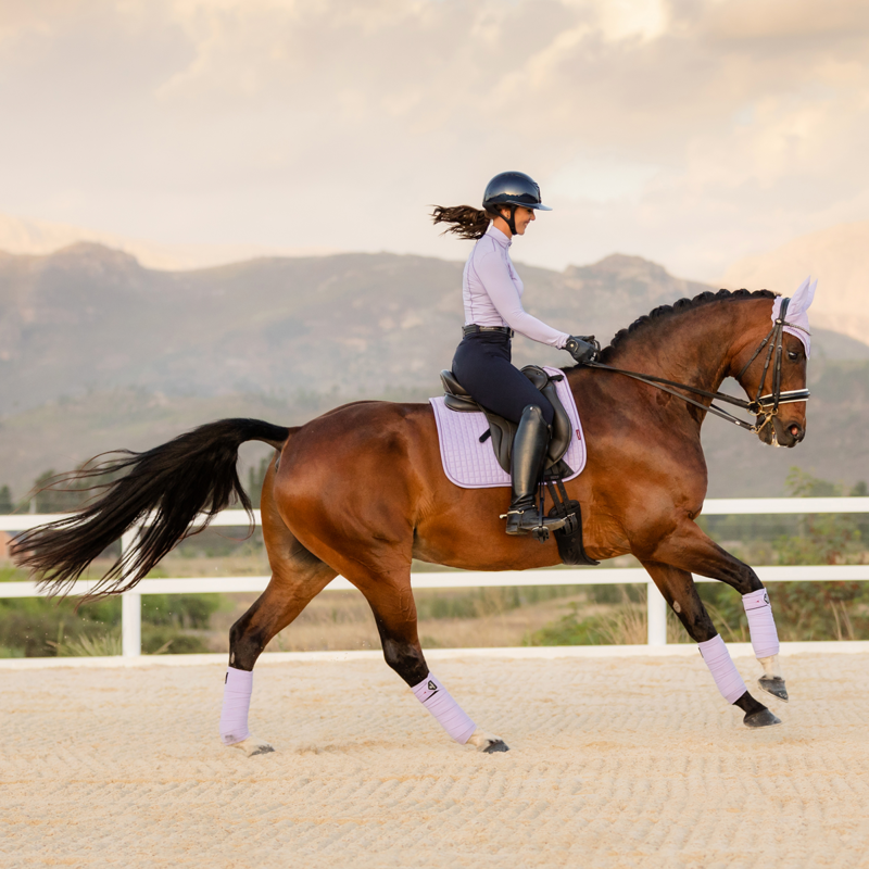 LeMieux Suede Dressage Square - Wisteria-1